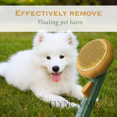 Transform Grooming Time into Cherished Moments